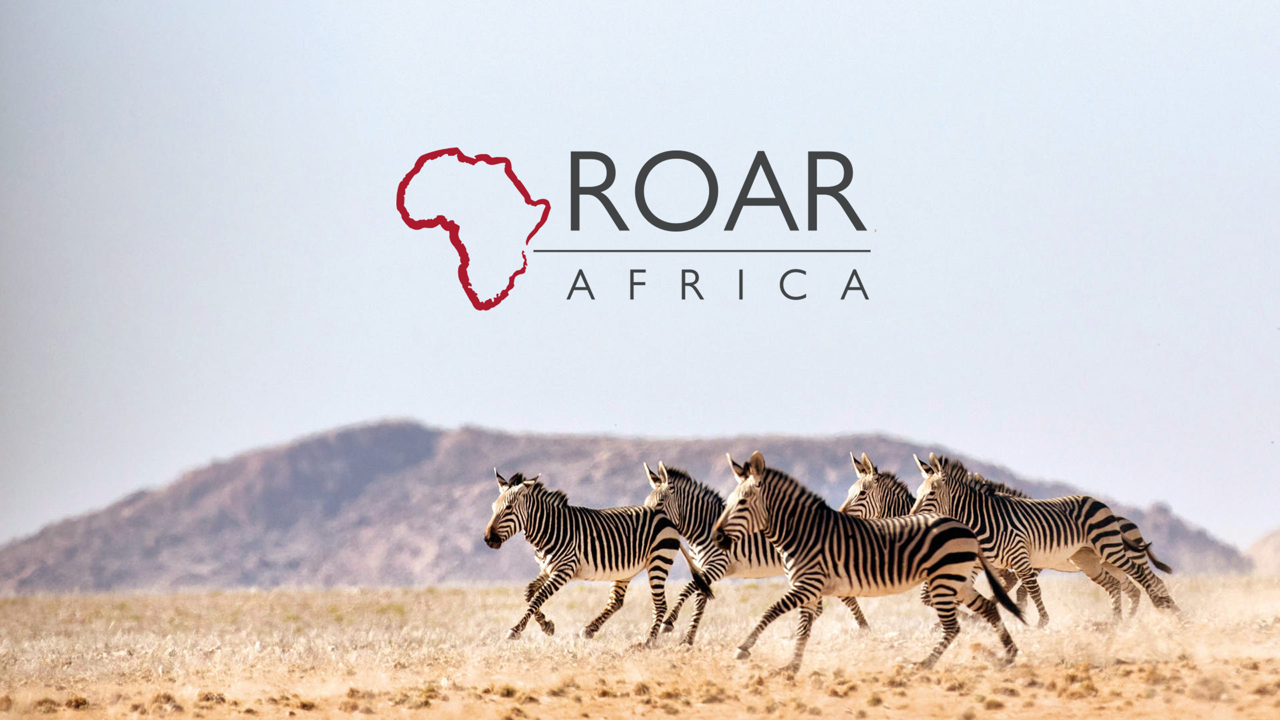 Carfrae Consulting Introduces ROAR AFRICA to Its Client Portfolio
